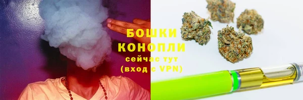 гидропоника Абаза
