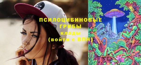 apvp Абинск