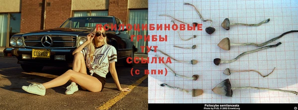 apvp Абинск