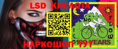 крисы Заводоуковск