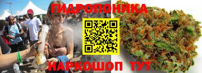 стаф Жуковский