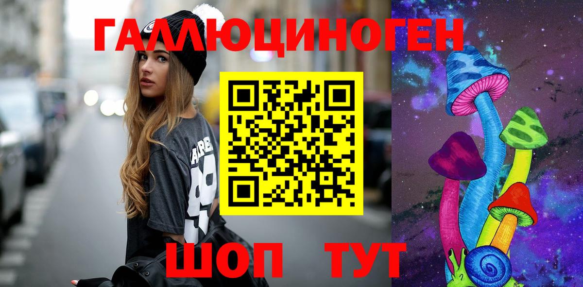 Галлюциногенные грибы Psilocybine cubensis  Вход с VPN  Клинцы 